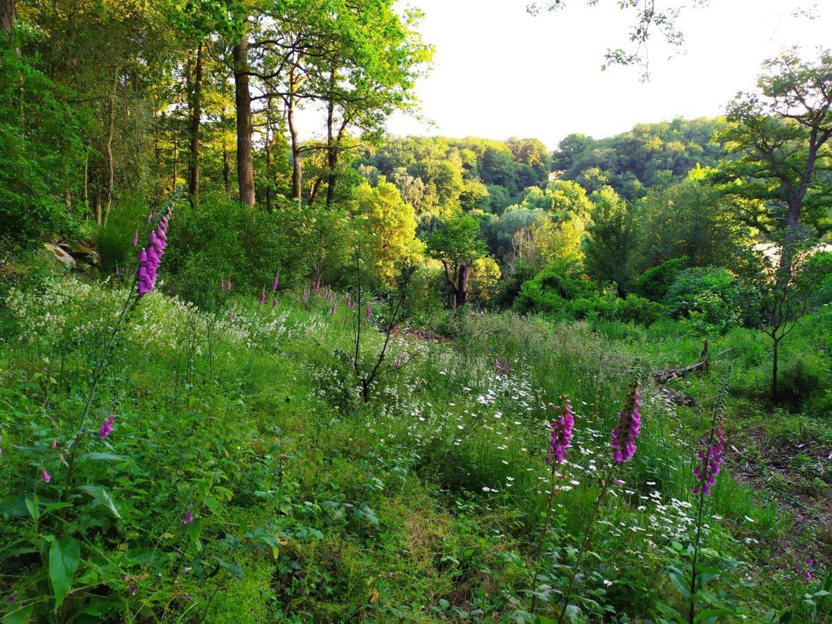 La Cabane Des Beaux Chenes Villa Evrunes Bagian luar foto